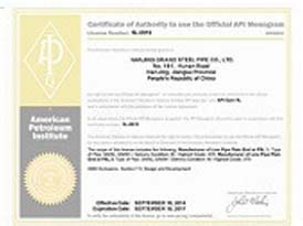 API Certificate