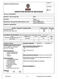 BV Inspection Report